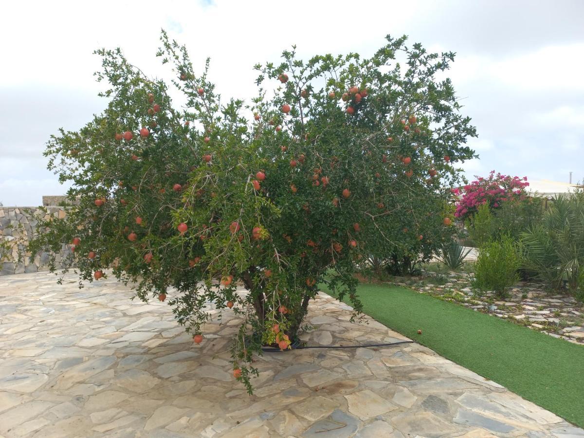 Jebel Shams Resort منتجع جبل شمس Dar Sawda Εξωτερικό φωτογραφία